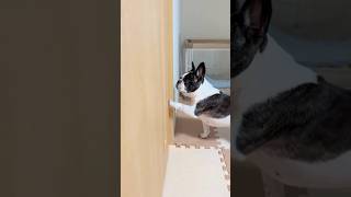 絶対に出遅れたくないフレブル