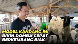 Download lagu Modern Sheep Pen Models Promote Rapid Reproduction mp3