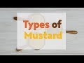 How Many Types Of Mustard Are There Free Download Sound Mp3 and Mp4 How Many Types Of Mustard Are There Free Download Sound Mp3 and Mp4