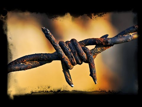 319 Tertullian Betrayed the Catholic Church