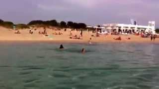 preview picture of video 'Primi bagni a Gallipoli, 05/05/13, le vacanze nel Salento stanno per iniziare!'