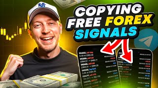 Copy Trading the BEST FREE Forex Signals on Telegram (LIVE)