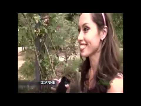 Cha$e - Episode 2 - Botanical Gardens 1.0