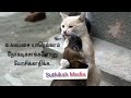 Happy New Year Tamil Motivation Status Whatsapp Status Tamil Whatsapp Status