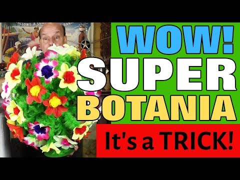 Super Botania - Instant Giant Flower Bush From Nowhere - MagicTricks.com