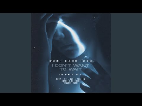 I Don't Want to Wait (Fly, Sasha Fashion Remix)