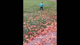 Kicking Leaves
