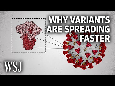 The Science Behind Why New Covid Variants Are Spreading Faster | WSJ