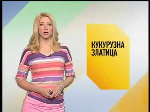 Zelena prognoza 1.7.2013.