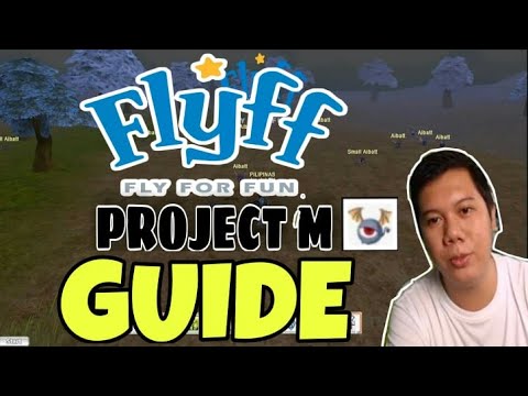 FLYFF PROJECT M (FLYFF UNIVERSE) | GUIDE