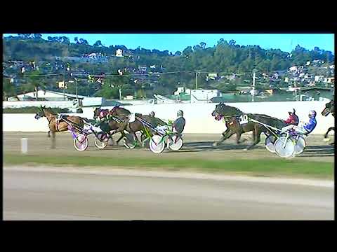 Napoli Trotto 31/12/2021 - 4ª corsa