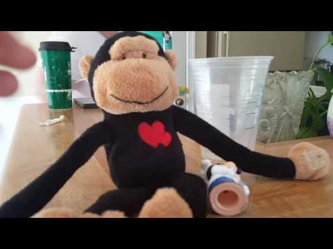Dog chews monkey!!!