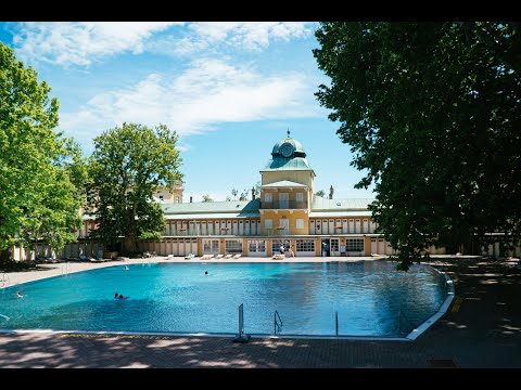 A Wellspring of Inspiration