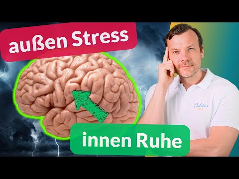 Schütze dein Gehirn: Stress abbauen in 6 Schritten