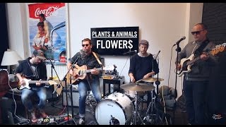 Plants and Animals - Flowers | Acoustic live session in Paris