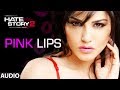 Pink Lips Full Audio Song Hate Story 2 Sunny Leone Meet Bros Anjjan Ft Khushboo Grewal