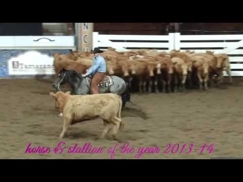 One Roan Peptos - A World Class Athlete