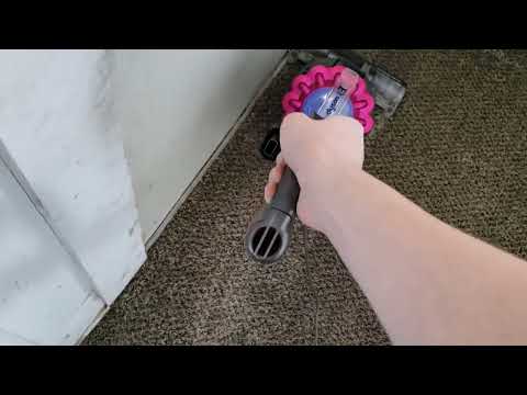Dyson DC65 Animal Complete Vacuuming Living Room (Slightly Crunchy)