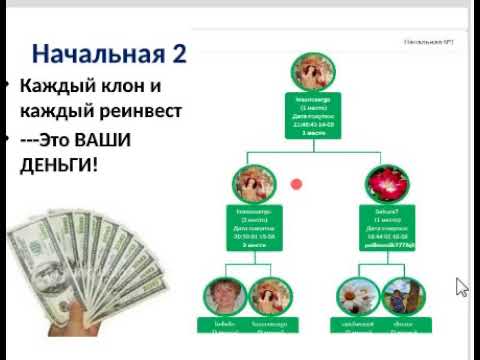 Как заработать в интернете  Презентация от Любовь Краснощек