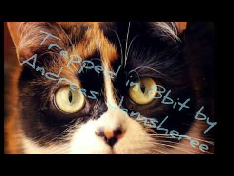 Trapped in 8Bit by Andreas Jamsheree.