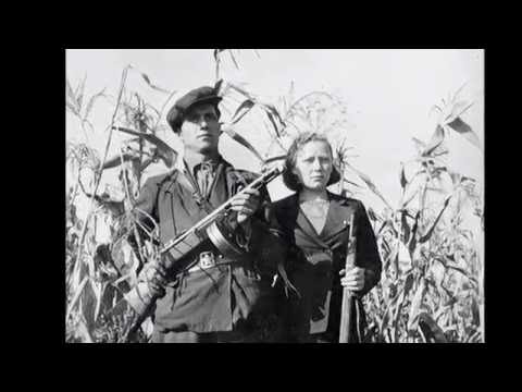Chant des partisans soviétiques - По долинам и по взгорьям