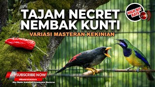 Download lagu 🔴 Live Cucak Cungkok Super Gacor vs Rio Rio Nembak Rapet Isian Tajam Necret Kesukaan Juri Bengkulu mp3 Download lagu 🔴 Live Cucak Cungkok Super Gacor vs Rio Rio Nembak Rapet Isian Tajam Necret Kesukaan Juri Bengkulu mp3