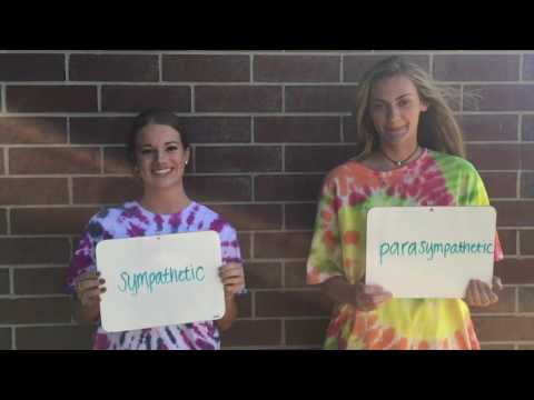 Confusing Terms AP Psych