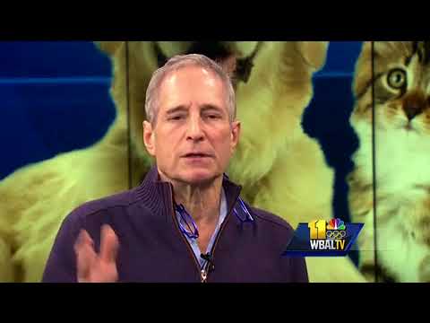 Pet Questions: Can my pets catch my flu?