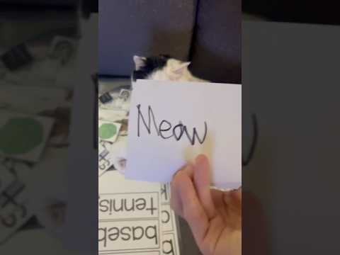 Can Jasmine Read this? #reading