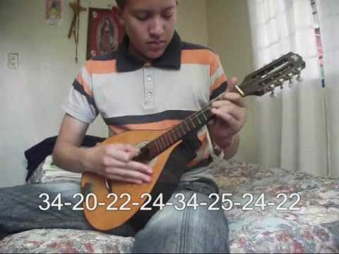 Fur Elise en Mandolina- Beethoven