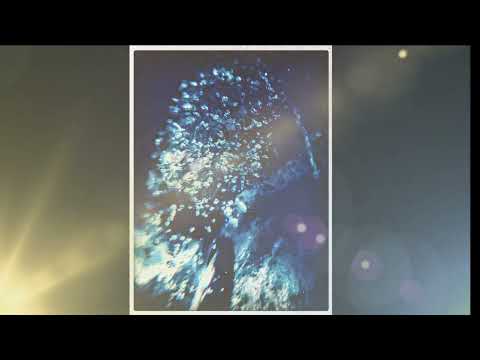 PERFECT DENTAL HEALTH | SCALAR ENERGY FIELD