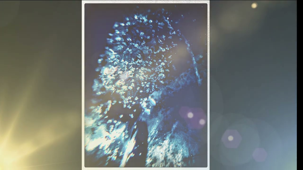 PERFECT DENTAL HEALTH | SCALAR ENERGY FIELD