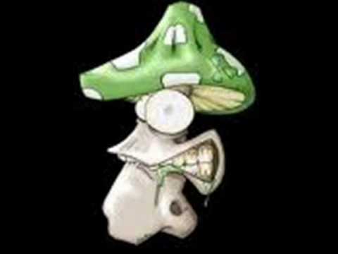 hardtek by psylotribe