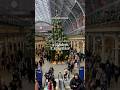 Have You Seen The Wicked Christmas Tree Yet Yes No