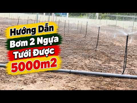  Hướng Dẫn Lắp Hệ Thống Tưới được 5 000m² Chỉ Với Bơm 2 Ngựa | Vnplant