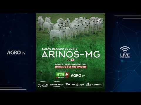 LEILÃO DE GADO DE CORTE ARINOS - MG - 25/02/2026