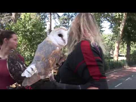 Gebroeders van Lymborch Festival 2018