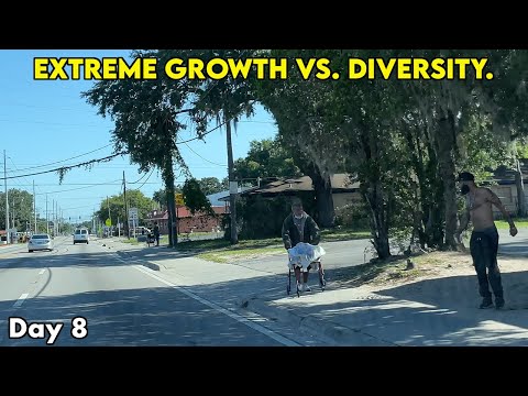 The Complicated Truth About Living In Tampa, Florida These Days 