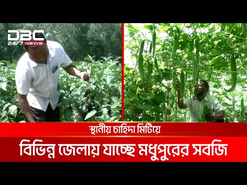 মধুপুরে বিষমুক্ত সবজি চাষ