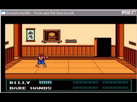 double dragon psp game