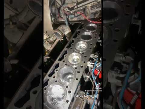 International DT466 Rebuild!