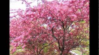 Ain't It Good To Be Alive - EDWIN video by: Linzee