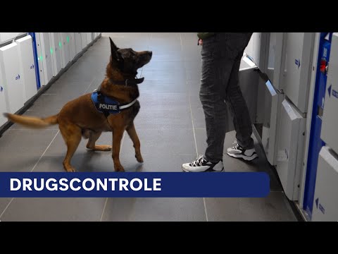 Police | Drug check at the station | Sniffer dogs