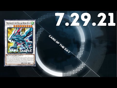 7.29.21 Yu-Gi-Oh! Card of the Day | Wolfrayet the Stellar Wind Wolf #yugioh #card #of #the #day