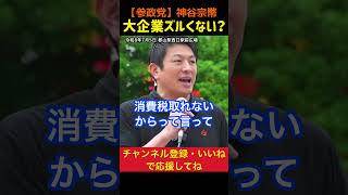 【値切りされる中小企業】輸出大企業の還付金｜神谷宗幣#参政党