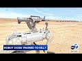 China S Military Shows Off Robot Dog With Automatic Rifle Mounted On Its Back