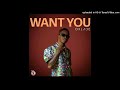 Oxlade - Want You