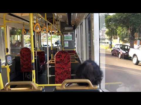 Transit Systems Sydney m/o 3761 • Scania L113CRL (ZF) - Route 412.