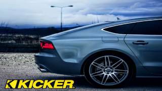 El Gallo Maximo Grado (EPICENTER)