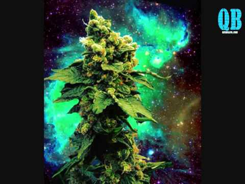 Lytronas   Pienso en Verde (MadriZamarroS)